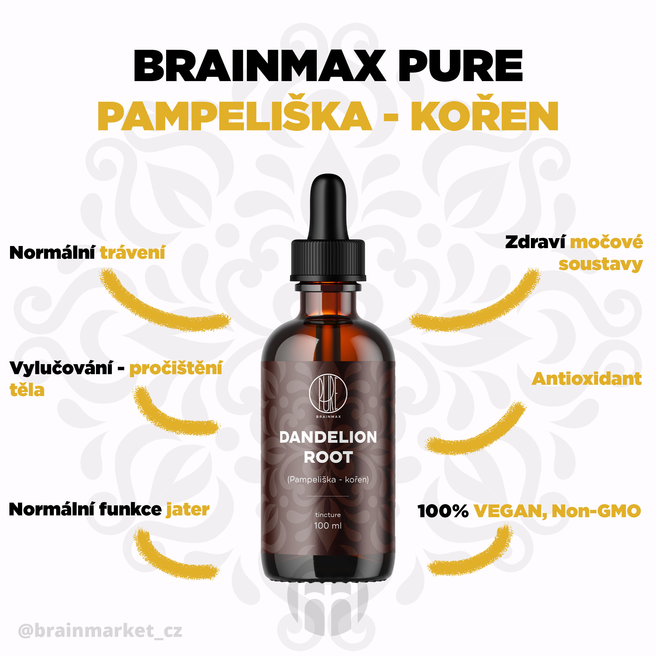 PAMPELISKA KOREN INFOGRAFIKA BRAINMARKET CZ